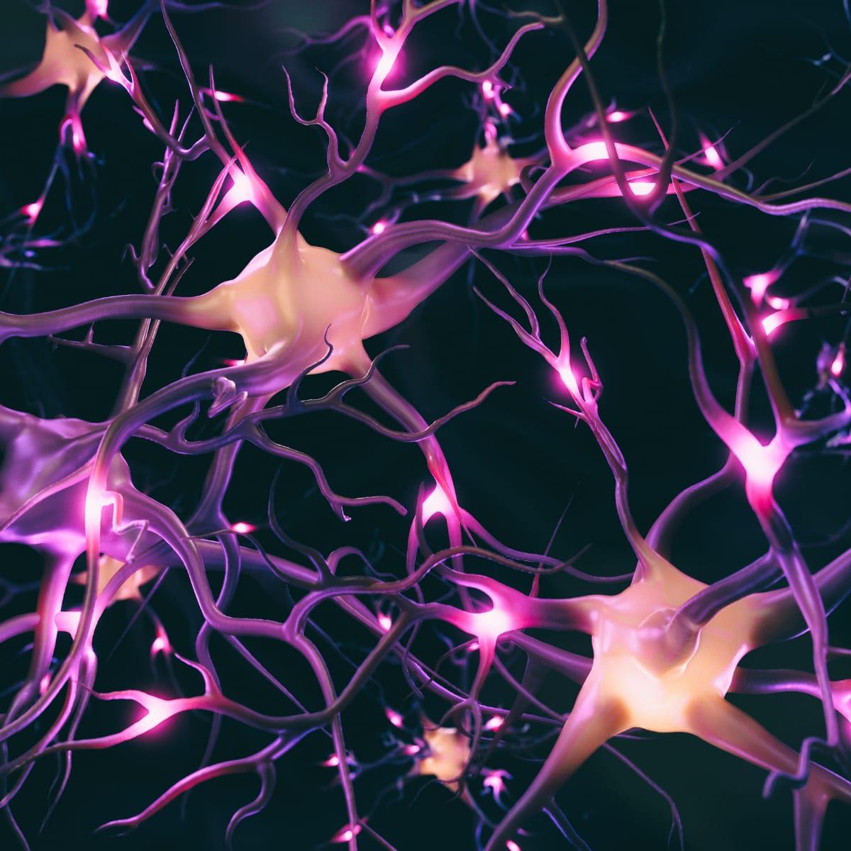 Glowing pink nerve cells branching and connecting against a dark background