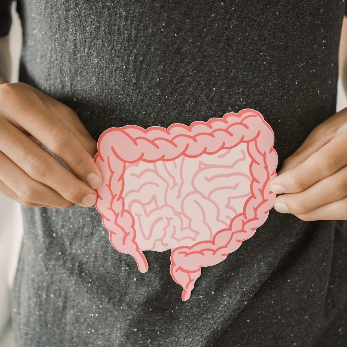 A person holding a paper cutout of the intestines in front of their stomach