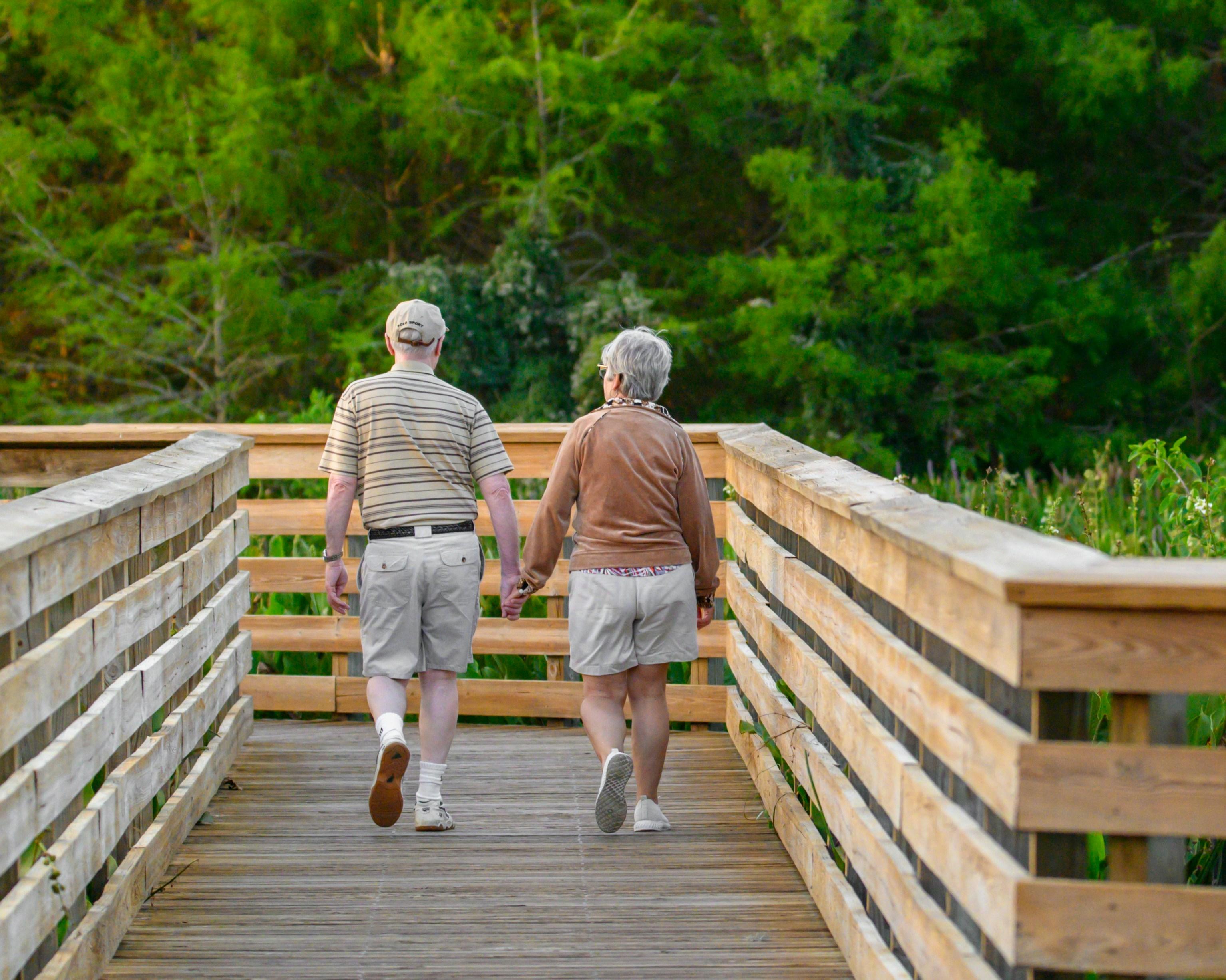 An older couple holding hands as they walk along a wooden boardwalk through green trees